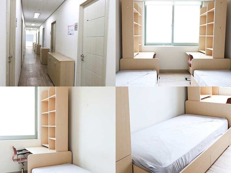 Trường Đại học